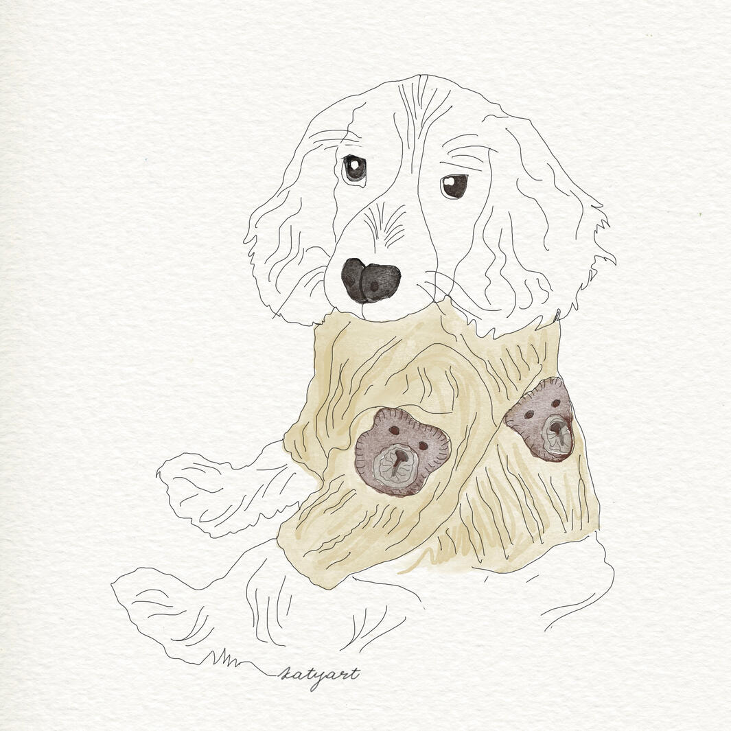 Pet best friend